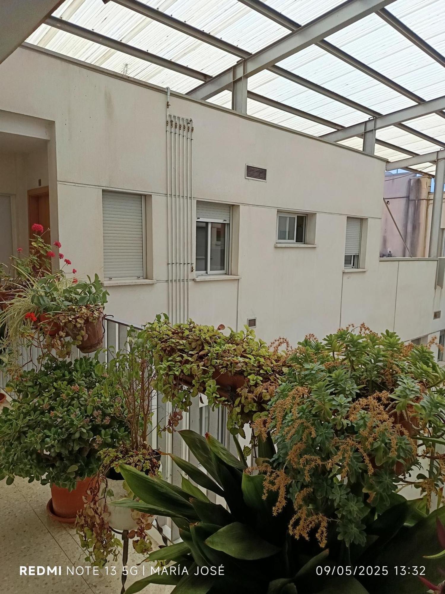 Disfruta Granada,incluso con tu mascota Parking Exterior foto
